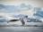 antarctia-whale-deception-island